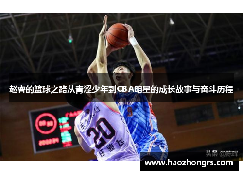 赵睿的篮球之路从青涩少年到CBA明星的成长故事与奋斗历程