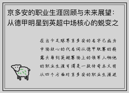 京多安的职业生涯回顾与未来展望：从德甲明星到英超中场核心的蜕变之路